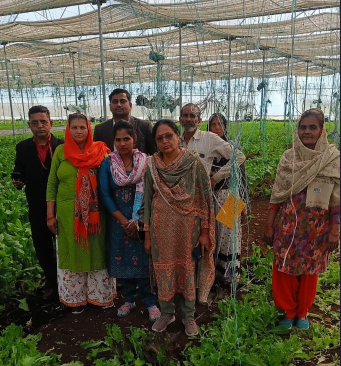 Eco-Enterprise & Sustainable Livelihoods